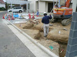 P1040295-2.jpg