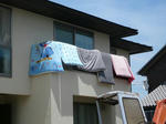 P1040354-2.jpg