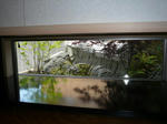 P1040423-2.jpg