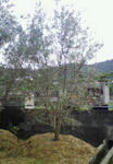 3178d5bd.jpg