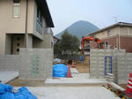 P1040481-2.jpg