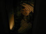 P1040514-2.jpg