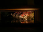 P1040517-2.jpg