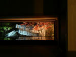 P1040521-2.jpg