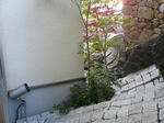 P1040480-2.jpg