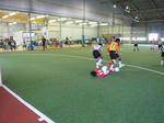 P1000211-2.jpg