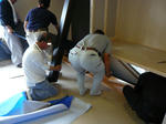 P1000253-2.jpg