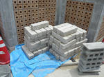 P1000295-2.jpg
