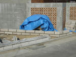 P1000302-2.jpg
