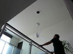 P1000395-2.jpg