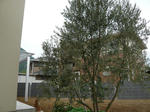 P1000452-2.jpg