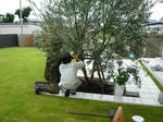 P1000512-2.jpg