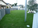 P1000111-2.jpg