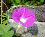 20050825081208