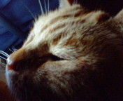 20060108115114