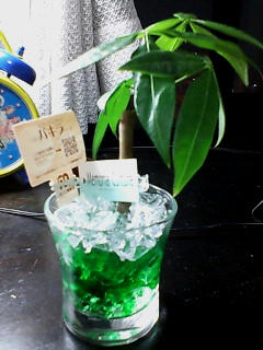 20070719195504.jpg