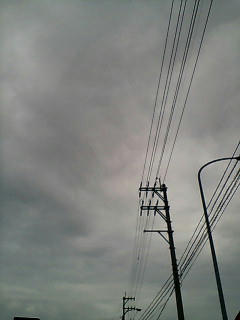 20080506072020.jpg