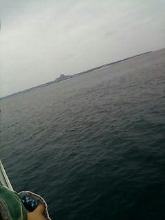 20080506121557.jpg