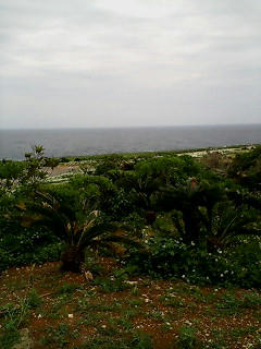 20080506140409.jpg