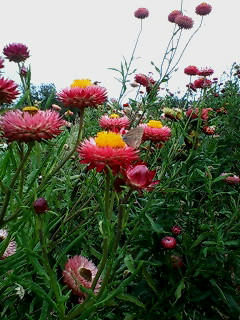 20080506143543.jpg