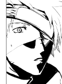 010101p.png