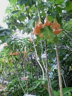 20080622112129.jpg