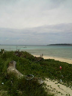20080622125550.jpg