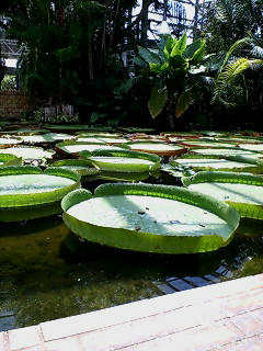 20080828130253.jpg
