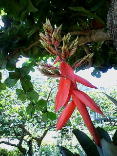 20080828124150.jpg