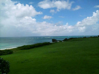 20080923131734.jpg