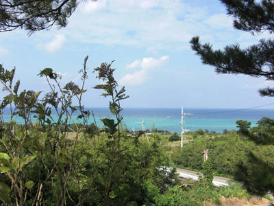 CIMG0086.JPG