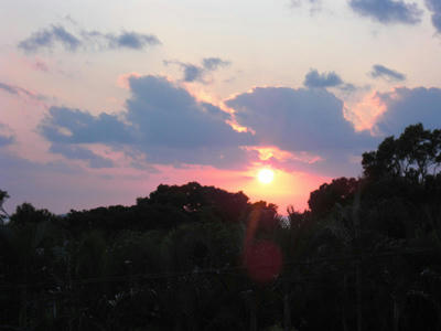 CIMG0103.JPG