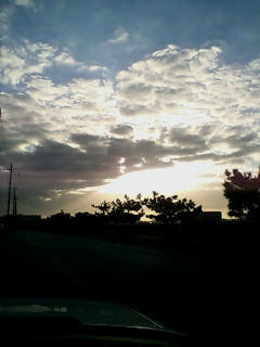 20090315073010.jpg