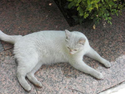 CIMG0721.jpg