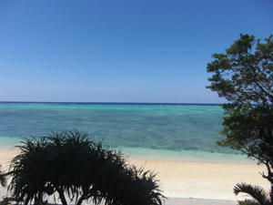 CIMG0771.jpg
