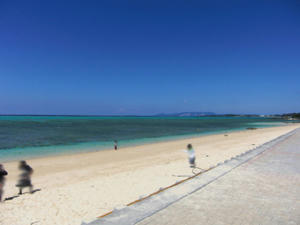 CIMG0778.jpg