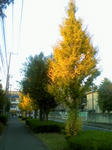 081121_1610~01.jpg