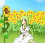 7262d9f0.png
