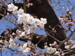 DSC00126.JPG