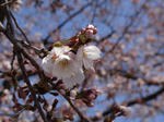 DSC00124.JPG