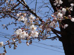 DSC00128.JPG