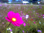 PICT0014.JPG