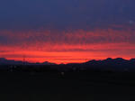 DSC00482.JPG
