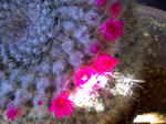 PICT0086.JPG