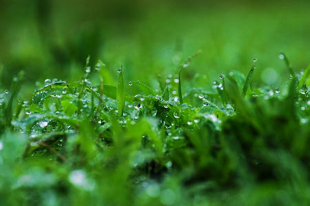 20090622053315_original.jpg