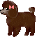 poodle02.jpg