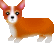 corgi2.gif