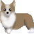 corgi3.gif