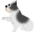 frenchbulldog4.gif
