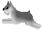schnauzer5.gif